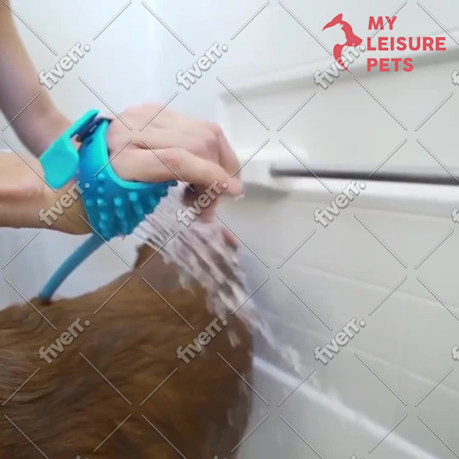 Immagine del campione di lavoro