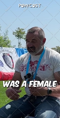 Immagine del campione di lavoro