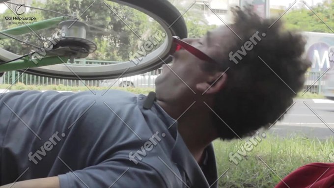 Immagine del campione di lavoro