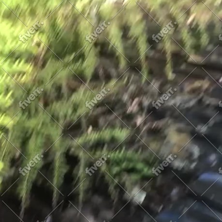 Imagem de amostra