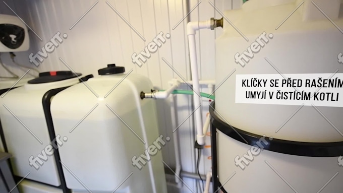Immagine del campione di lavoro