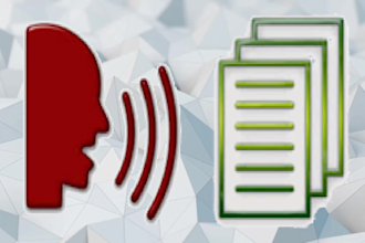 provide a 24 hour turnaround for transcription