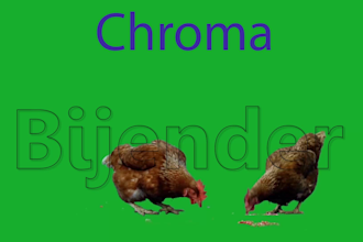 professionally remove green screen background from videos