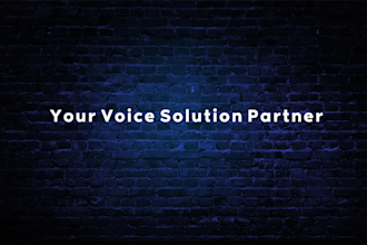 make custom text to voice cheaply using elevenlab