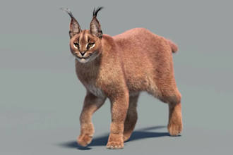 do realistic 3d animal model, 3d animal animation, 3d animal rigging, cgi animal