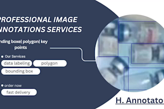 provide image annotation, data labelling, bounding box, segmentation