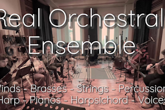 a record real orchestral ensemble