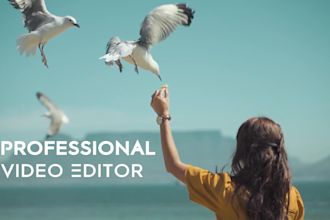 do professional video editing for travel, vlog, or youtube
