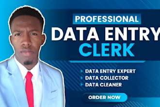 be your data entry expert, data collector, and data cleaner