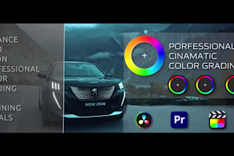 do professional color grading and color correction