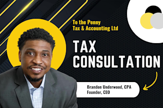 provide professional tax consultation as a CPA