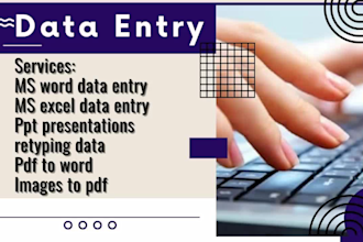 be your virtual assistant for data entry at msword,excel,ppt