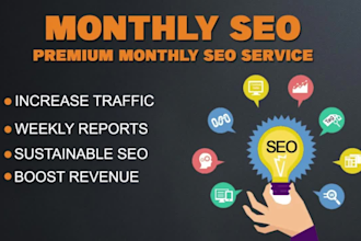 provide elite monthly SEO backlinks package with white hat link building