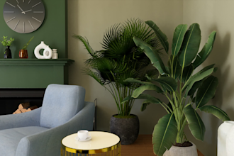 design your room apartment small commercial project in 2d 3d