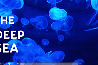 do the most animated and lively powerpoint presentation