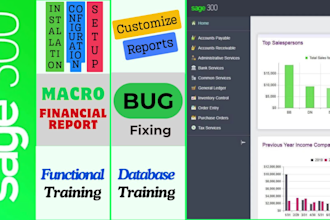 provide sage 300 configuration, support, integrations, custom reporting service