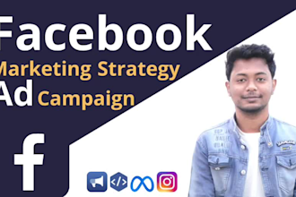 develop facebook marketing strategy and be your advertising manager