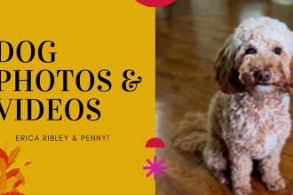 create ugc dog product photos and videos