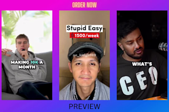 add captivating subtitles to instagram reels and tiktok videos in 24 hours