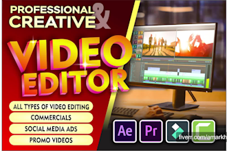 do professional video editing and video ads in 24hr