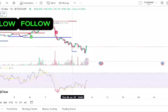 help to grow trading education with live trades crypto and forex markets