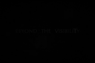 design epic documentary video professionally with voice over