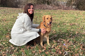 create ugc content for your dog products or pet brand