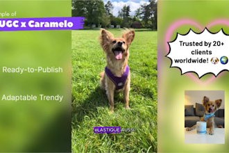 create ugc with my dog for your pet brand tiktok, reel, amazon fr en es