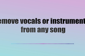 provide professional song vocal or instrumental removal