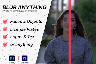 blur censor pixelate faces objects or anything in the video