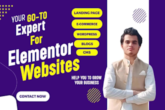 be your wordpress developer, elementor pro expert and migrate wordpress website