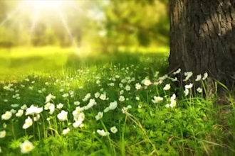 record a voice over for your meditations