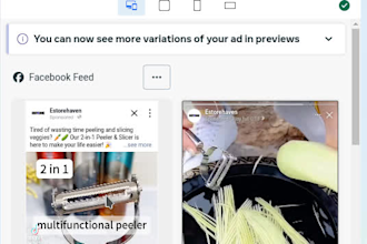 set up facebook, instagram ads campaign for leads and sales