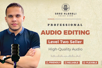 professional audio editing and noise reduction