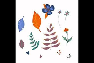 create illustrations and surface designs