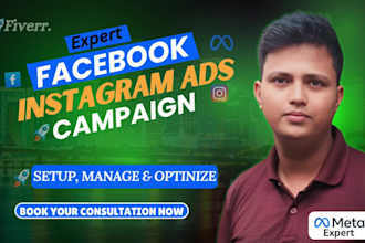 setup and manage facebook ads and instagram ads campaign shopify fb ads