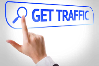 promote your website and lead organic, targeted traffic
