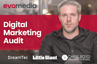 provide a digital marketing audit