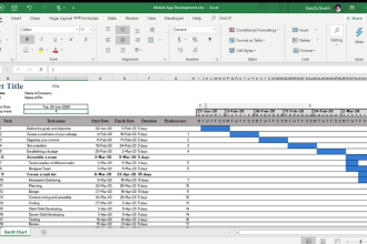 create a gantt chart and project plan with microsoft project or excel