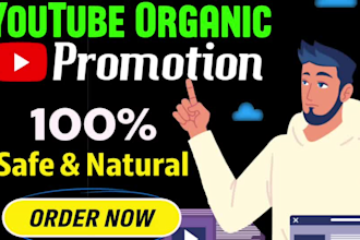 do organic promotion channel growth meet youtube partner ship program ypp viral