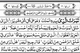 be your female online quran teacher, quran tutor, online lessons