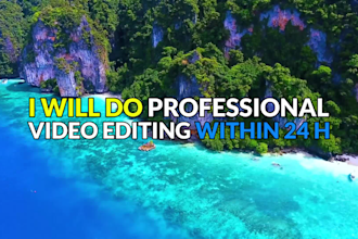 do professional video editing within 24 hours