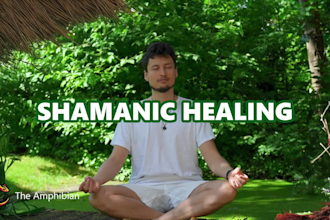 provide a shamanic healing session