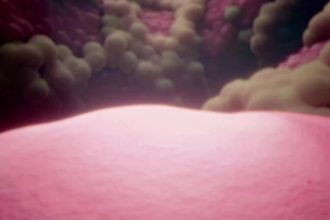 make medical 3d aniamtion