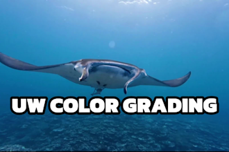edit your underwater videos and photos via color grading