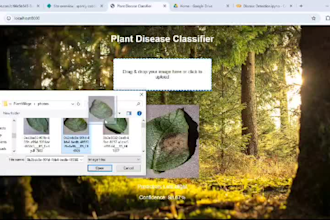 do ai machine learning and deep learning end to end project