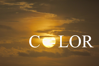 professional video color grading and color correction