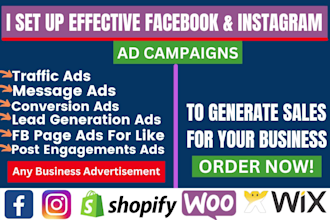 setup effective facebook and instagram ads campaign