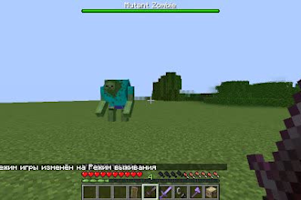 make minecraft resourcepack, animated mob, block , item, texts