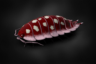 do 3d animals, birds, insects, creatures for you